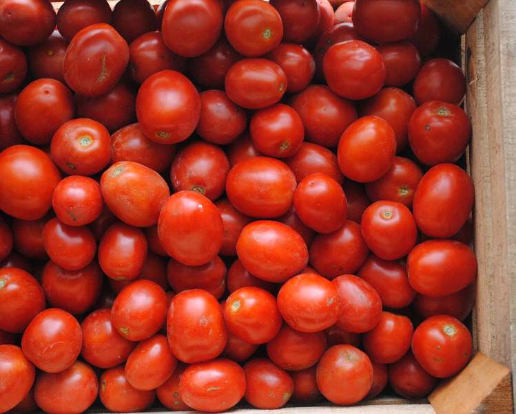 Gourmet Italy: what to eat and drink in Sicily Gourmet Italy: what to eat and drink in Sicily